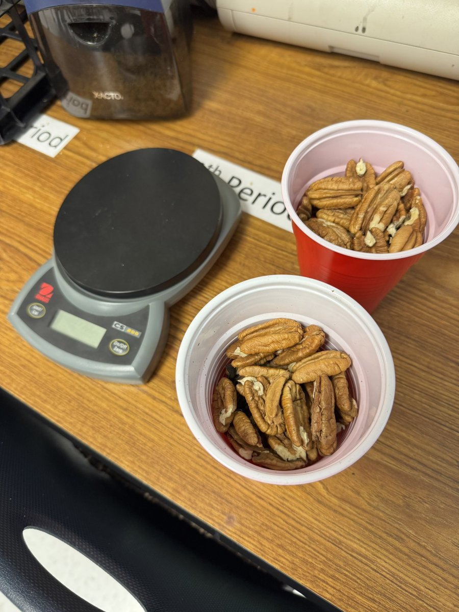 Melissa Hernandez tweet media