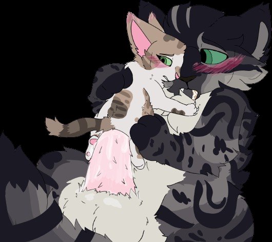 thegodofyiff's tweet photo. #fighterfelines poking again if anyone here still does roleplay c: dm me, some art attached https://t.co/zM9RmQCdz5