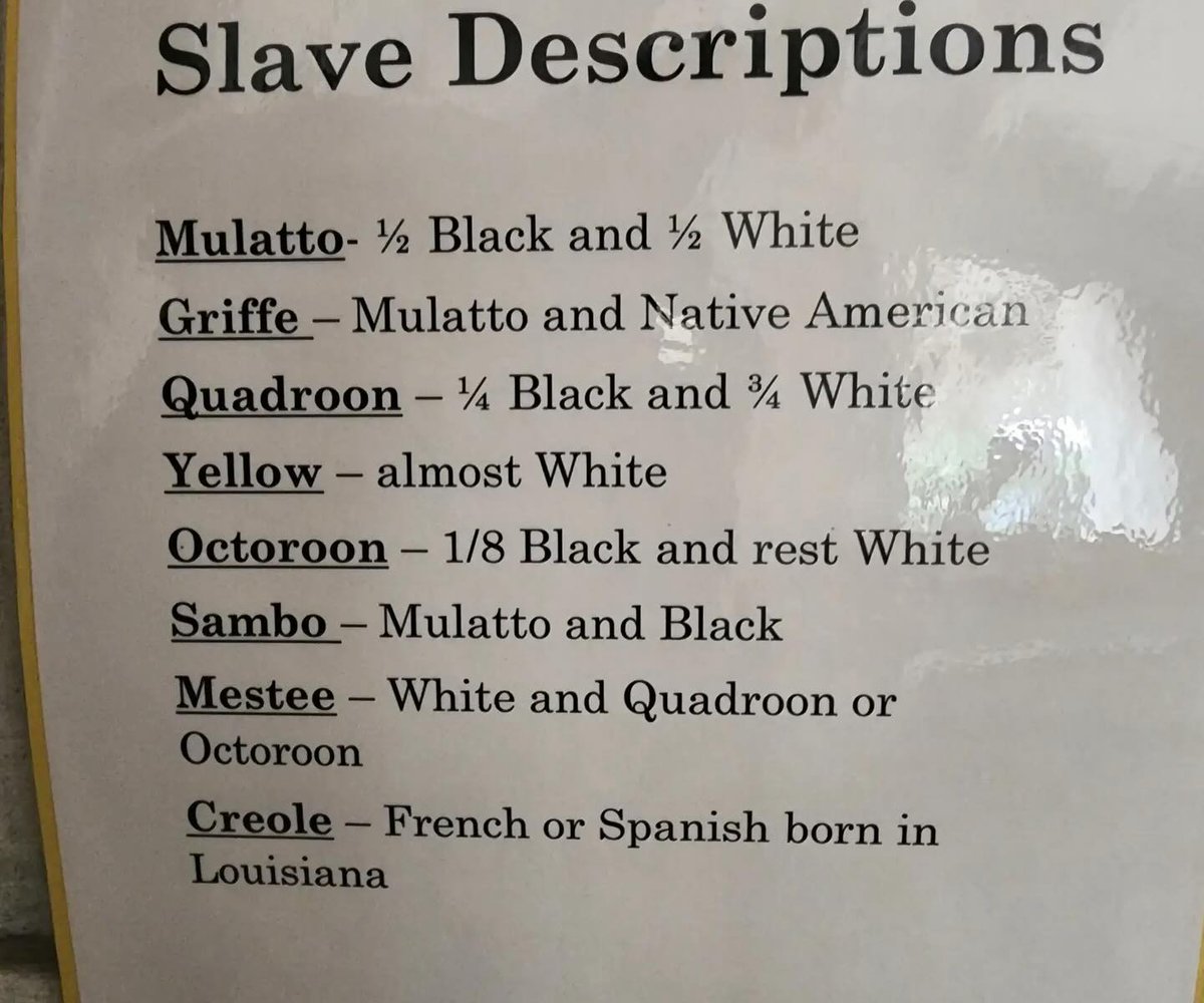🇺🇲 400 years of generational admixture. Ethnogenesis DNA.
