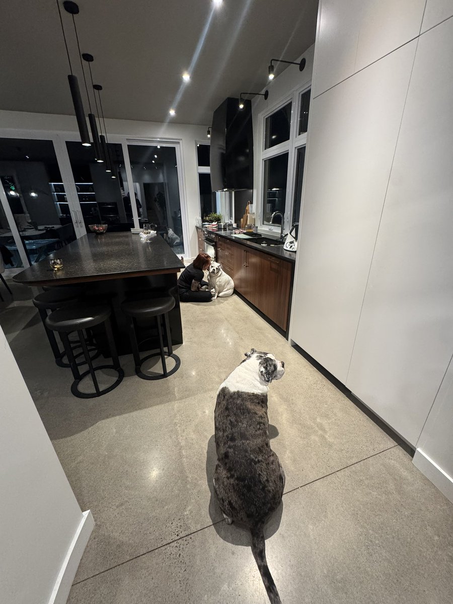 BrainMechanic tweet media