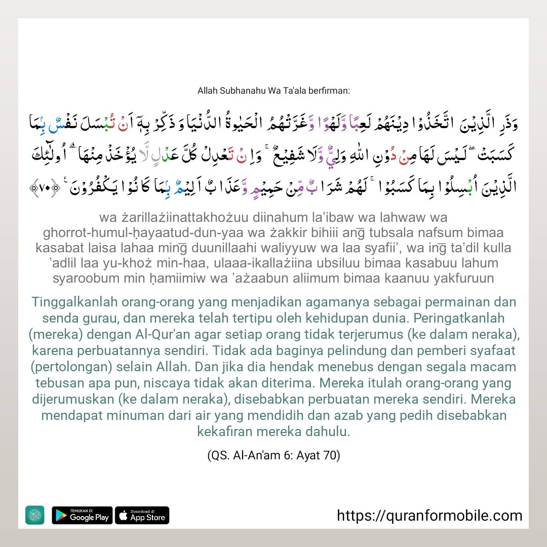 SHANDY TV tweet media