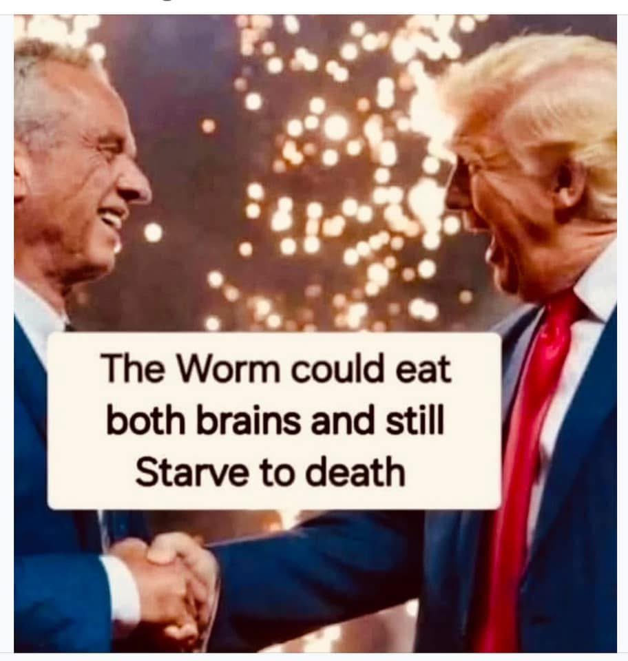 PeachyKeenBean7's tweet photo. #RFKBrainWorm
#RFKIsUnfit
#TrumpisaNationalDisgrace
#TrumpIsUnfitForOffice
#TrumpBrainWorm https://t.co/IafBdSmZrW