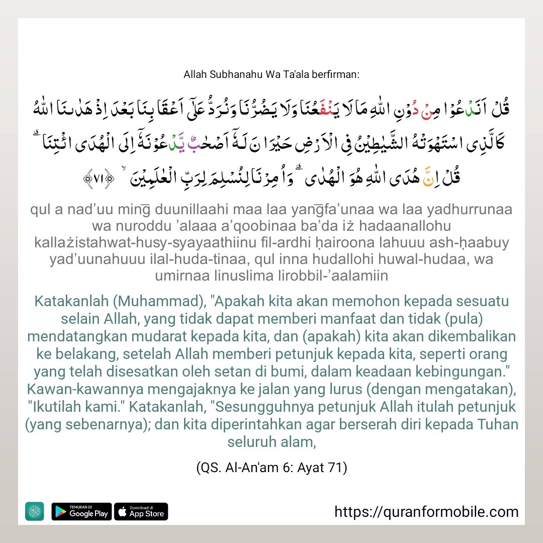 SHANDY TV tweet media