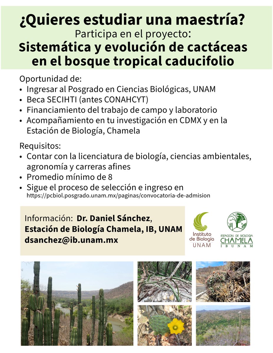 Oportunidad de maestría.
Participa en el proyecto: Sistemática y evolución de cactáceas en el bosque tropical caducifolio. Más información en el correo dsanchez@ib.unam.mx, con el Dr. Daniel Sánchez