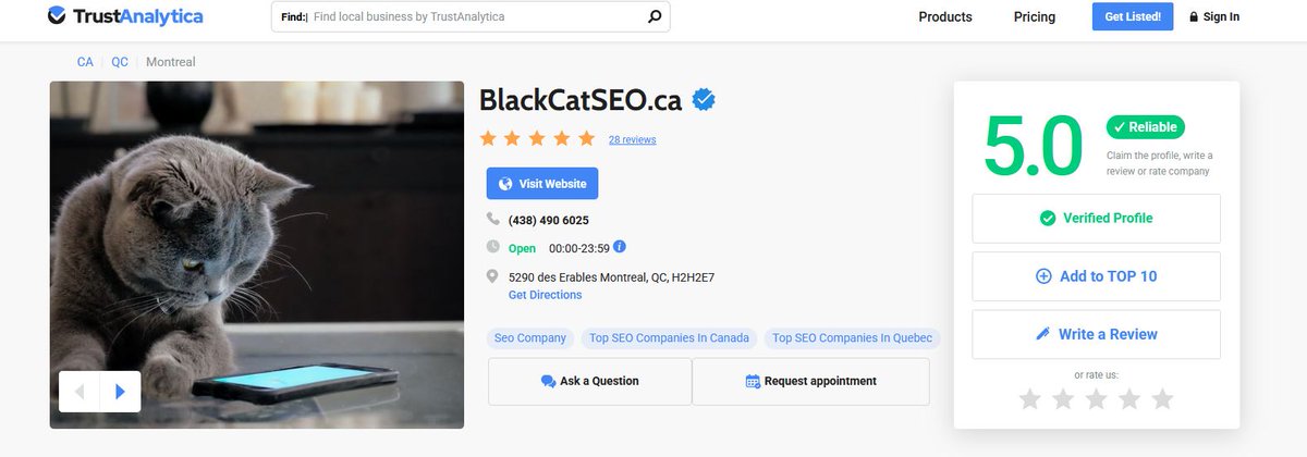 BlackCat SEO tweet media