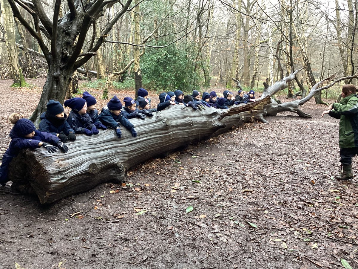StNicksEarly's tweet photo. #StNicksReception had a fantastic time at The Gruffalo Trail. Despite the rain they got stuck into the different activities building log pile houses, mouse homes as well as learning how to sing like Tawny owls and burying pine cones like squirrels. #StNicksTrips #StNicksDiscover https://t.co/7HTX2dnPQn