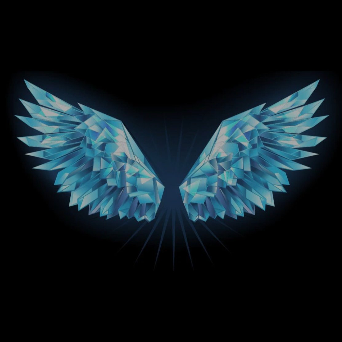 Vivek Tr tweet media