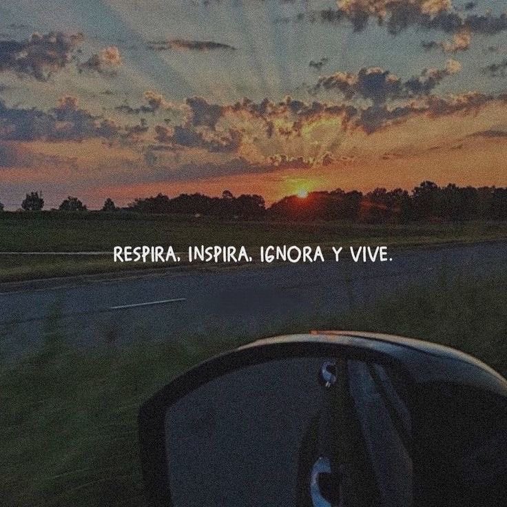 vibes (@vibesfyp) on Twitter photo 