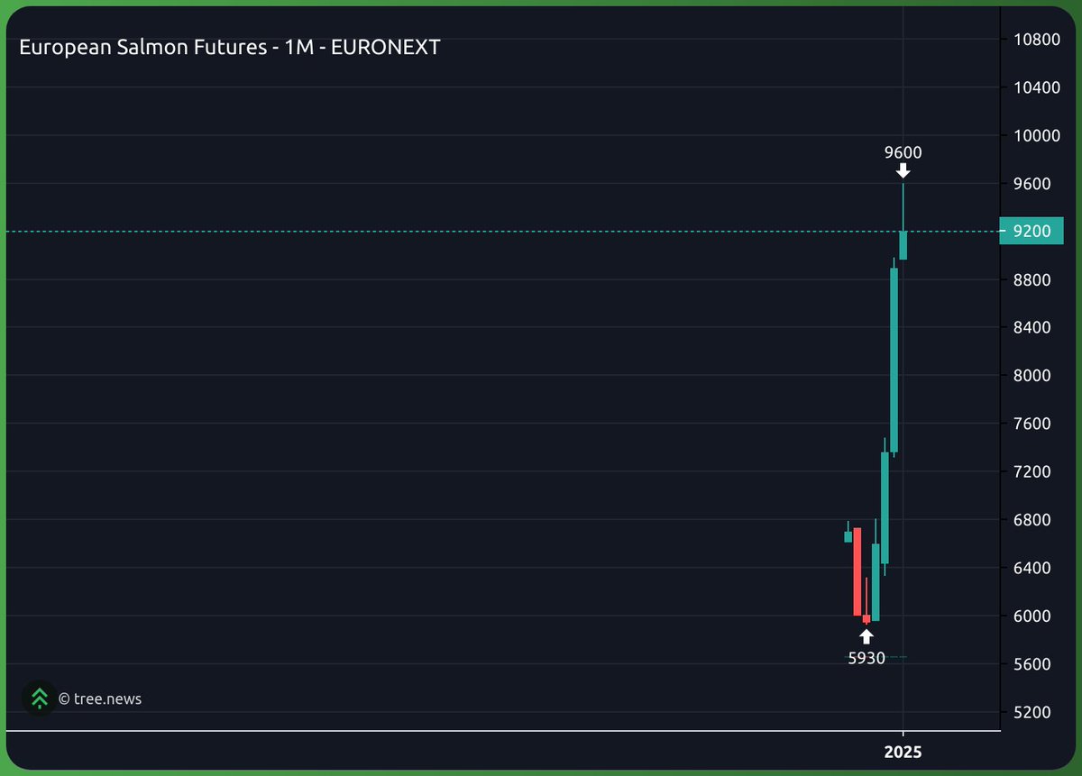 GarfieldCap's tweet image. The PvE Runner