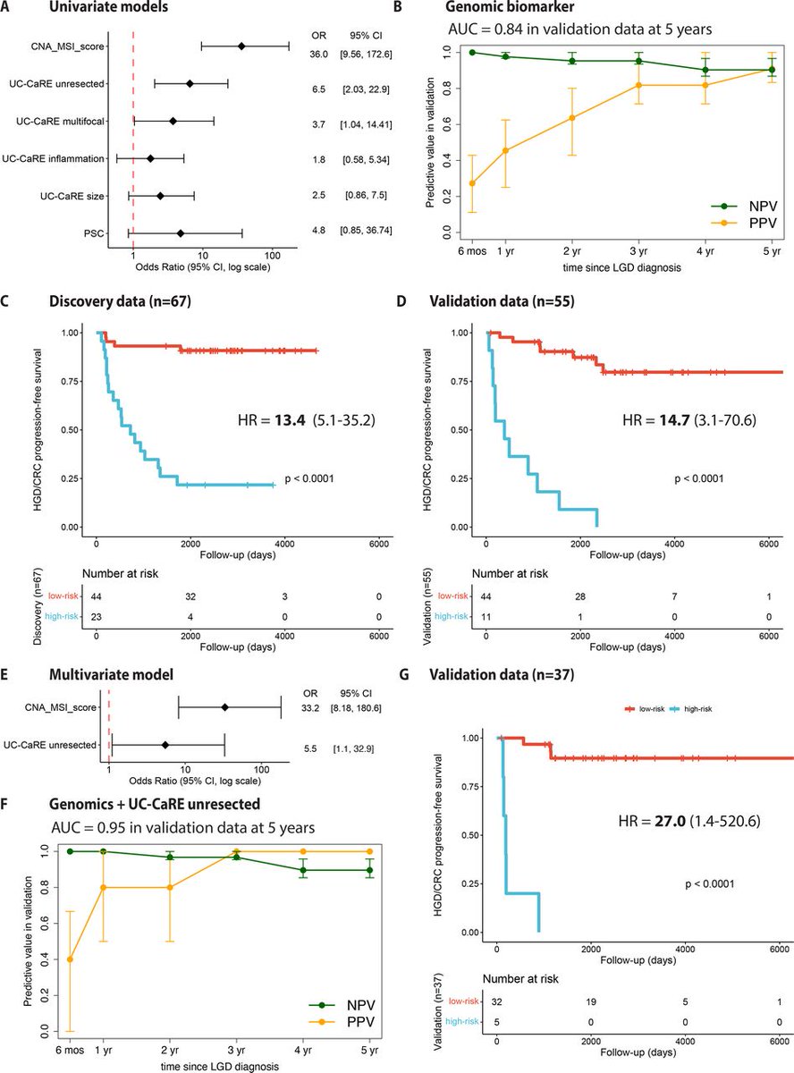 Gut Journal (@gut_bmj) on Twitter photo Fantastic to see #GUTInTheNews over the last few days regarding the paper by Al-Bakir and <a href="/yosoykit/">Kit Curtius</a> et al entitled
"Low-coverage whole genome sequencing of low-grade dysplasia strongly predicts advanced neoplasia risk in UC" via bit.ly/4glrg67
Also found on the Fantastic to see #GUTInTheNews over the last few days regarding the paper by Al-Bakir and <a href="/yosoykit/">Kit Curtius</a> et al entitled
"Low-coverage whole genome sequencing of low-grade dysplasia strongly predicts advanced neoplasia risk in UC" via bit.ly/4glrg67
Also found on the