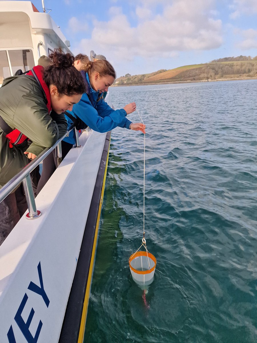 Dr. Daniel M Moore (@danielmmoore_) on Twitter photo A fantastic few days on the water with my marine biology students <a href="/ExeterMarine/">ExeterMarine</a> thanks to <a href="/CornwallIFCA/">Cornwall IFCA</a>
I'm so grateful to have such a great class of students, all so passionate about our ocean.
#exetermarine #marinebiology <a href="/UniofExeter/">University of Exeter</a> <a href="/UniExeCEC/">University of Exeter CEC</a> A fantastic few days on the water with my marine biology students <a href="/ExeterMarine/">ExeterMarine</a> thanks to <a href="/CornwallIFCA/">Cornwall IFCA</a>
I'm so grateful to have such a great class of students, all so passionate about our ocean.
#exetermarine #marinebiology <a href="/UniofExeter/">University of Exeter</a> <a href="/UniExeCEC/">University of Exeter CEC</a>