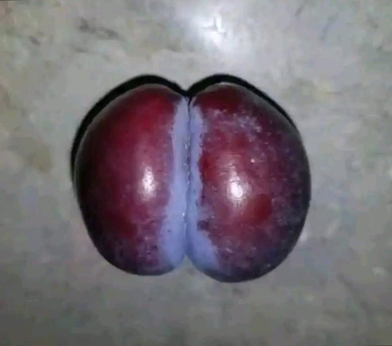 gladeslamek's tweet image. What we men see during a doggy, iigwayekeni no vaseline pokati kuutako please 😭