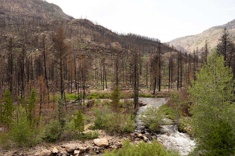 Colorado State News (@colostatenews) on Twitter photo CSU researcher <a href="/anne_mook/">Dr. Anne Mook (she/her)</a> and colleague <a href="/PilarMorGin/">Pilar Morales-Giner</a> wanted to look deeper into the impacts of wildfires on communities around them.
What they found is that while the scars of wildfires run deep, so too are their ability to influence adaptation and build resilience. CSU researcher <a href="/anne_mook/">Dr. Anne Mook (she/her)</a> and colleague <a href="/PilarMorGin/">Pilar Morales-Giner</a> wanted to look deeper into the impacts of wildfires on communities around them.
What they found is that while the scars of wildfires run deep, so too are their ability to influence adaptation and build resilience.