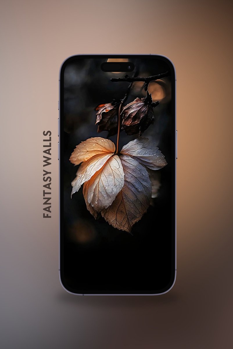 Halley Apps ™ tweet media