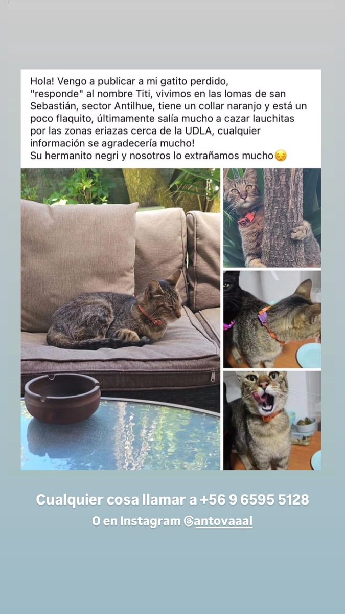 __fransu's tweet photo. Por favor compartir🙏🏼🥺 https://t.co/HpmydIJXrp