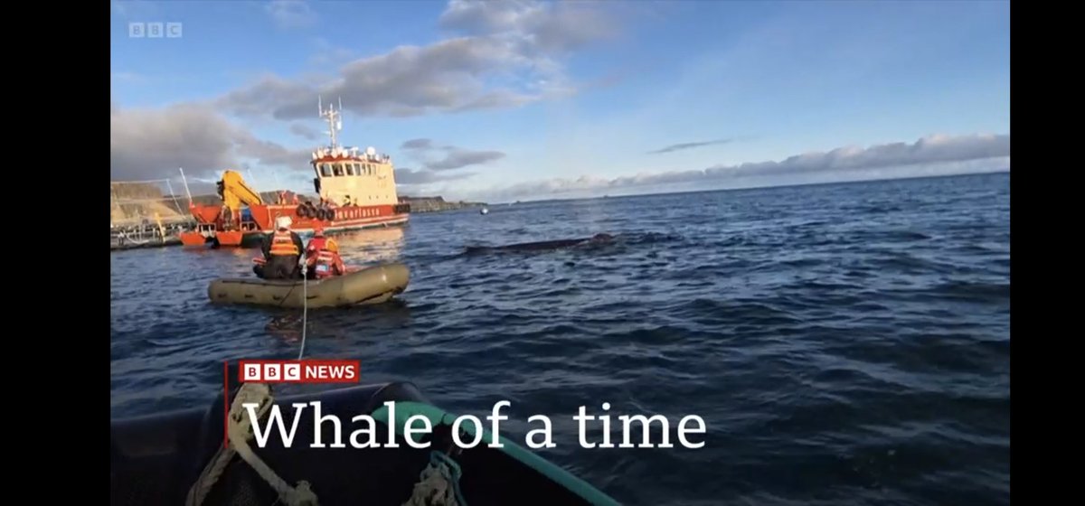 Simon Plumb tweet media