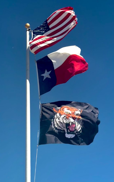 MsRowe6's tweet image. 🐯🚩 Raising Tiger Pride to New Heights! 🚩🐯

Our new tiger flag is looking purr-fect at the top of the pole! 🏫✨ Watch it roar in the wind as we show off our school spirit! 💙💛 #FlyingHigh #TigerPride #FierceAndProud