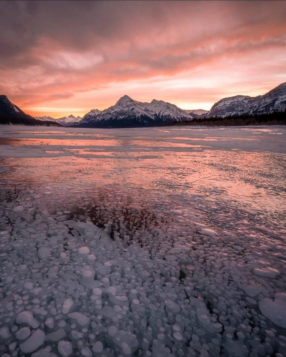 Abraham Lake AB