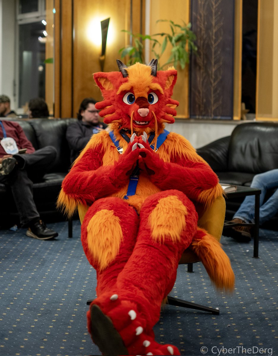 Hello Mr./Ms. Fluff, I've already awaited you this #FursuitFriday!

Come here and take a seat, let's have a talk about what you will be doing at NFC

📸: <a href="/CyberTheDerg/">Cyber</a>
🧵: <a href="/whitewingsuits/">Whitewing Creations</a>
🗺️: #Furvester