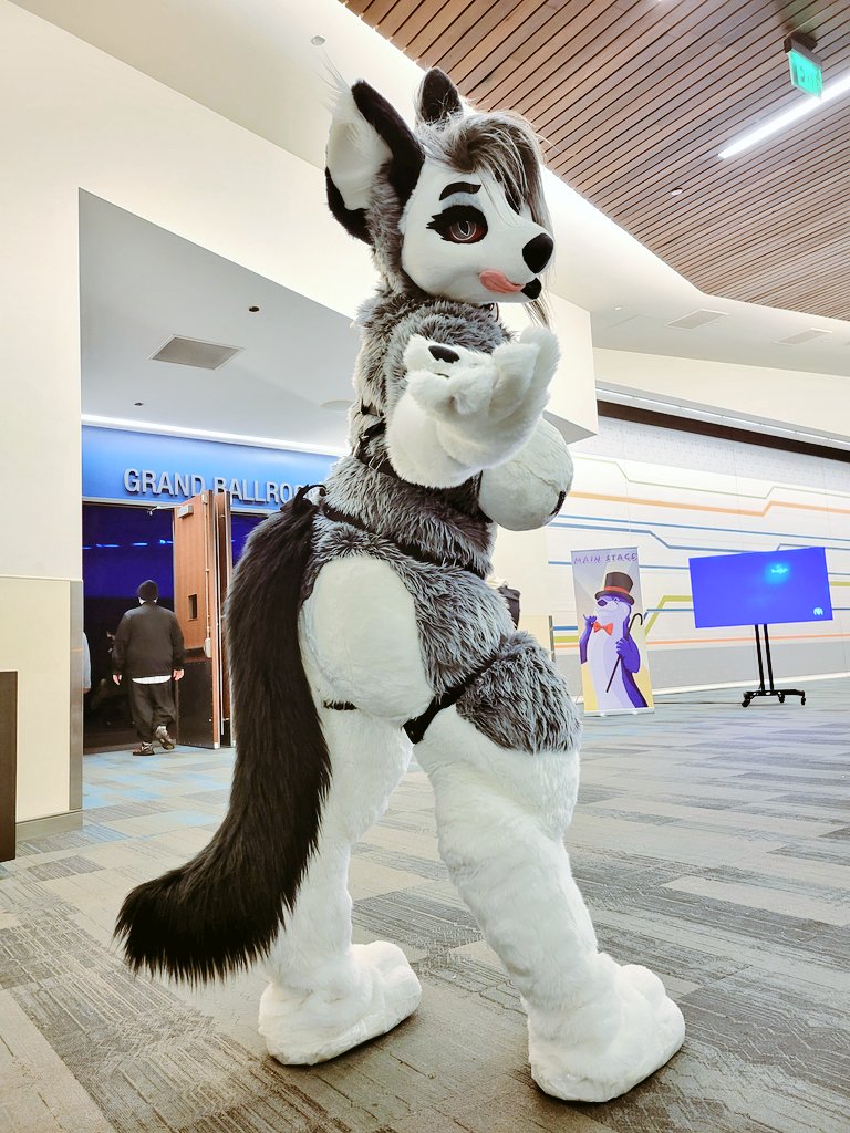 Time to hit the dance floor 💃