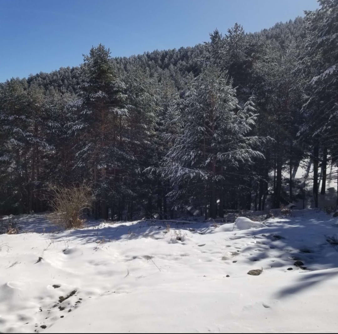 Hoy nuestr@s alumn@s de 6° se han ido a esquiar a Navafría 😉⛷️⛷️⛷️