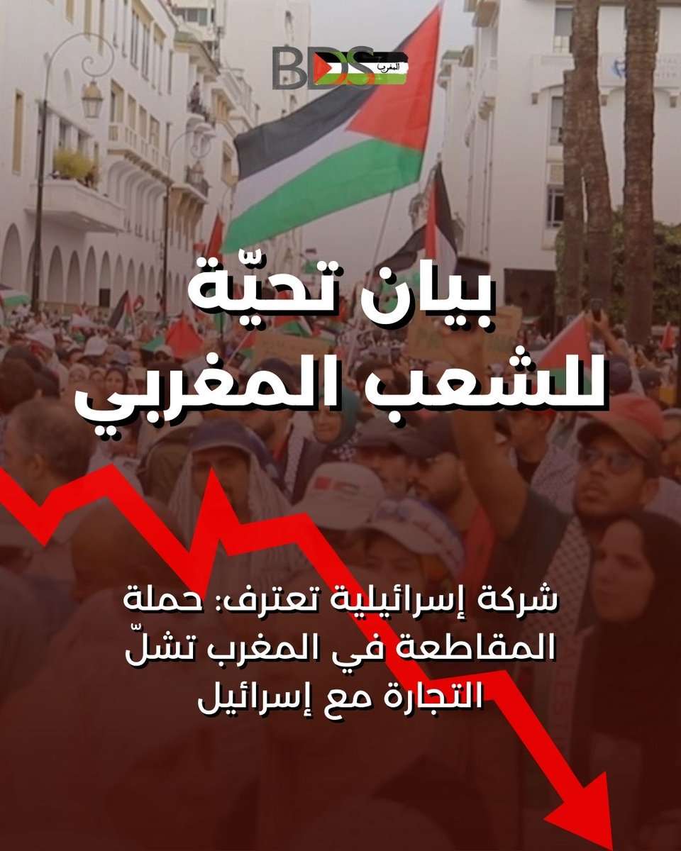 BDS Morocco/MACBI tweet media