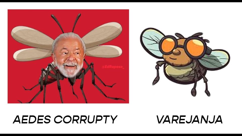 <a href="/Zanfa/">Zanfa</a> Todo cuidado é pouco.