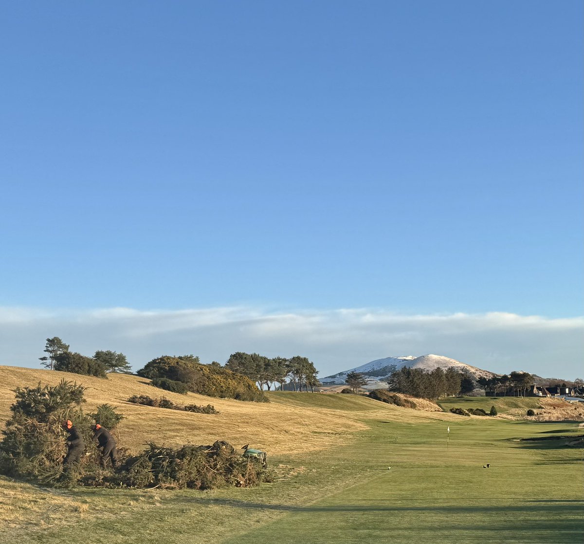 Gavin Neill tweet media