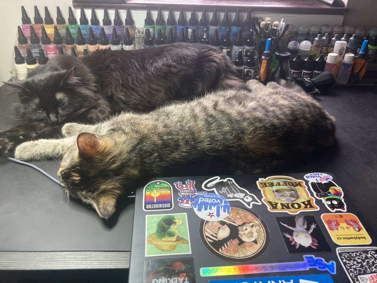 How am I supposed to work under these conditions?! Desk space is so limited, my laptop doesn't even fit on the table!