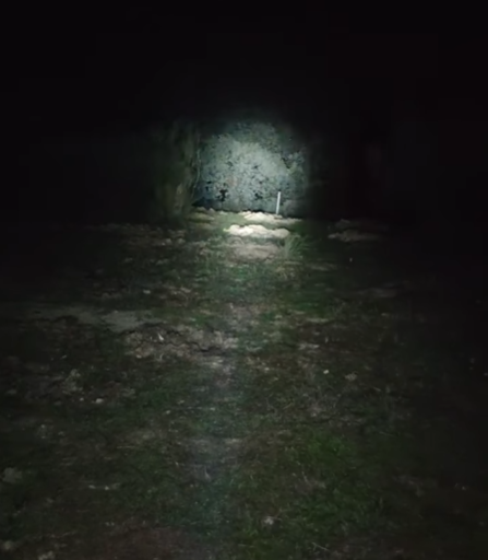 Tanizen 🐉 tweet media