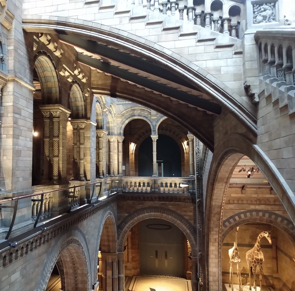 Walking round the Natural History Museum is like being in an MC Escher artwork.