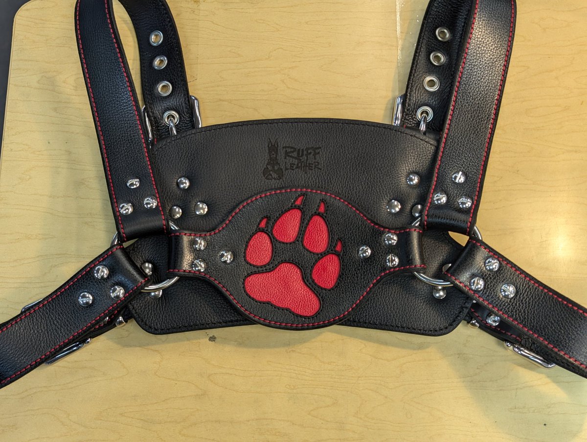 Just finished up this leather handler harness too! A brand new design I developed. 🔥🔥🔥