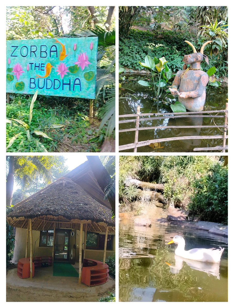 Shreya Jain (@shreyajain08) on Twitter photo Back on the ground after a long time in the new year—what a refreshing experience! 🍁🌼🌱
Had a great time conducting a session with amazing allies, exchanging ideas and energy. All of this amidst the tropical beauty of <a href="/Zorbathebuddha/">Zorbathebuddha</a> —couldn’t have asked for a better setting! Back on the ground after a long time in the new year—what a refreshing experience! 🍁🌼🌱
Had a great time conducting a session with amazing allies, exchanging ideas and energy. All of this amidst the tropical beauty of <a href="/Zorbathebuddha/">Zorbathebuddha</a> —couldn’t have asked for a better setting!