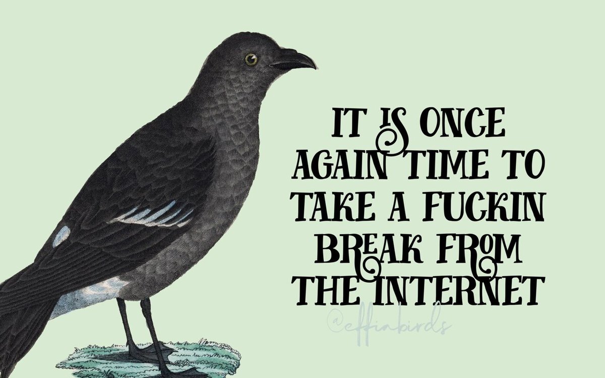 EffinBirds's tweet photo. https://t.co/DWhyvemnjq