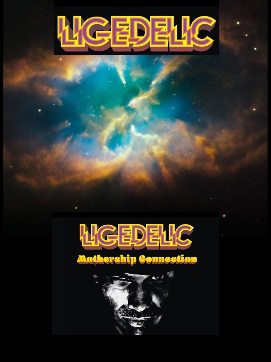 shop.w-funk.ch
Open for bookings