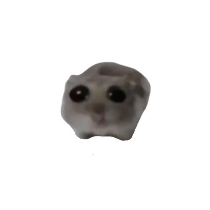 sadhampoter's tweet photo. @meechie can i join
$hammy https://t.co/hnECL73R1z