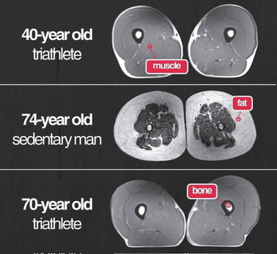 This is an MRI image of 3 people:  

The top is a 40 year old triathlete. 

The middle is a 74 year old sedentary person. 

The bottom is a 70 year old triathlete.  

What you see is that a 70 year old may be able to retain the same amount of muscle and bone density while