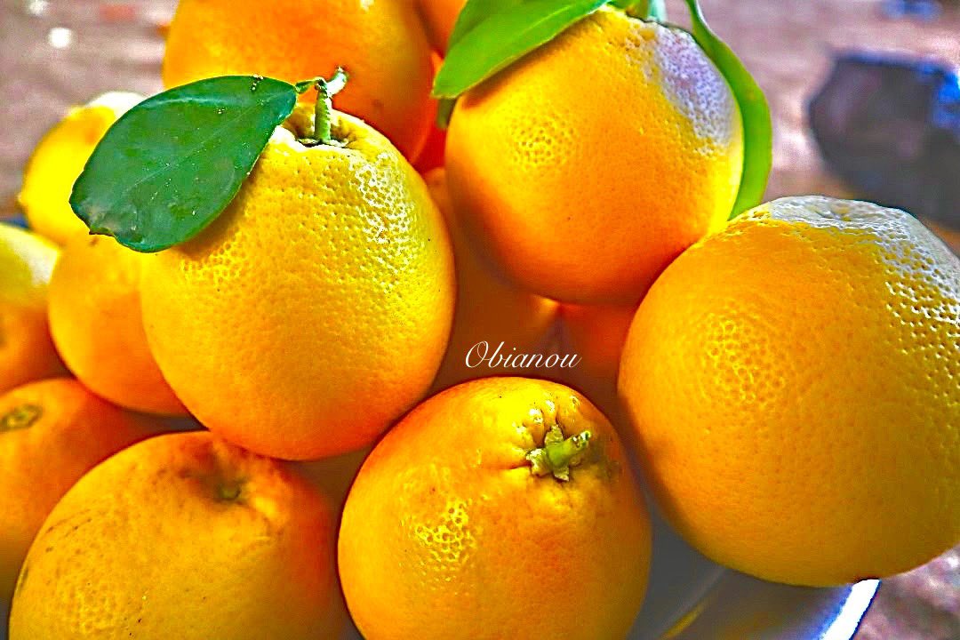 Les agrumes de Timia 🌴🇳🇪⛰️🏜
Photos 📷- <a href="/Obianou/">Bianou Ousmane</a>