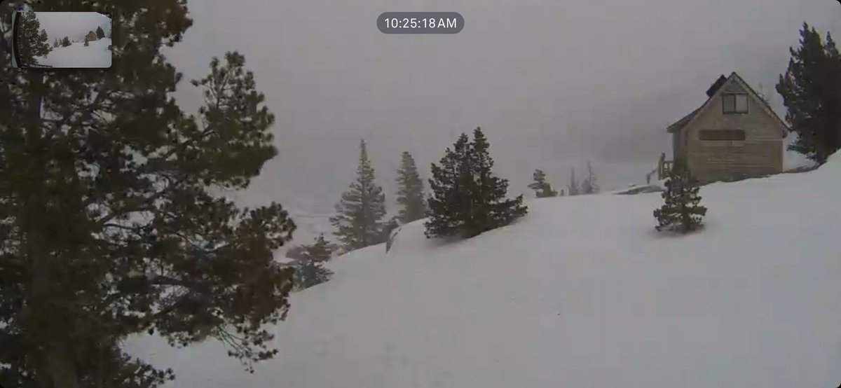 Echo Cam tweet media