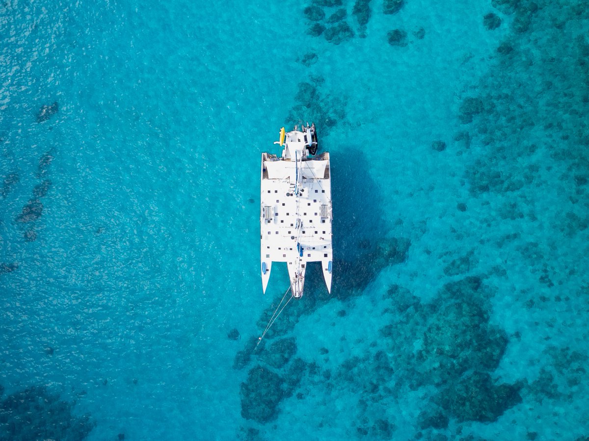 🌊⚓️ Let’s test your nautical knowledge! If you had to guess, how tall do you think the main mast of Cuan Law in the BVI is? Drop your guesses below! 🏝️⛵

Learn more about the trimaran at bvisailing.com
