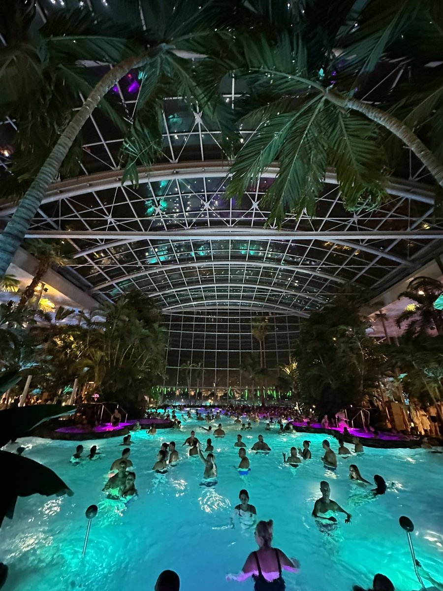 ryan nield tweet media