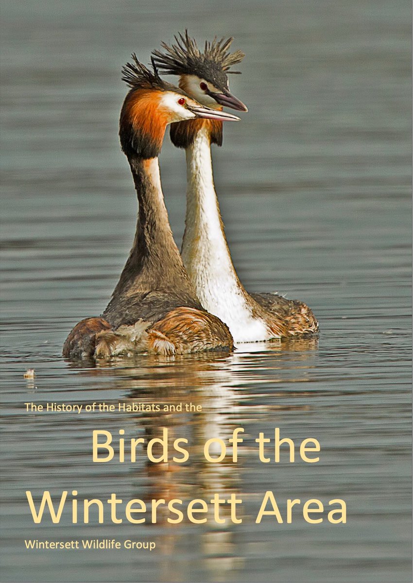 The Birds of Wintersett tweet media