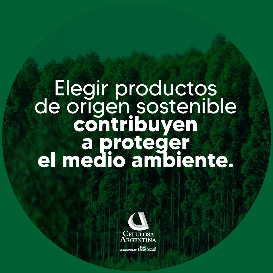 En Celulosa Argentina sabemos que el manejo responsable de los bosques es fundamental para producir papel de manera sustentable.

¡Sumate al movimiento, marquemos la diferencia juntos! ♻️

#CelulosaArgentina #Boreal #BIO #Sustentabilidad #InnovaciónEco #CuidemosElPlaneta