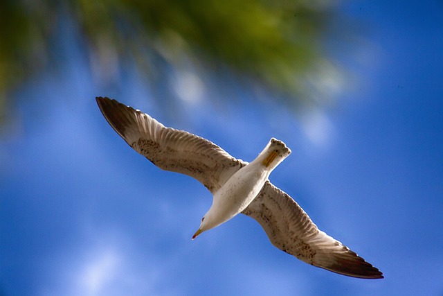 Thực hành tạo ra sự tiến bộ, so practice with focus and consistency. هذا سيؤدي إلى تحسين مستمر.🇵🇬🍆🧕🤺🚿🕘🍂🌁