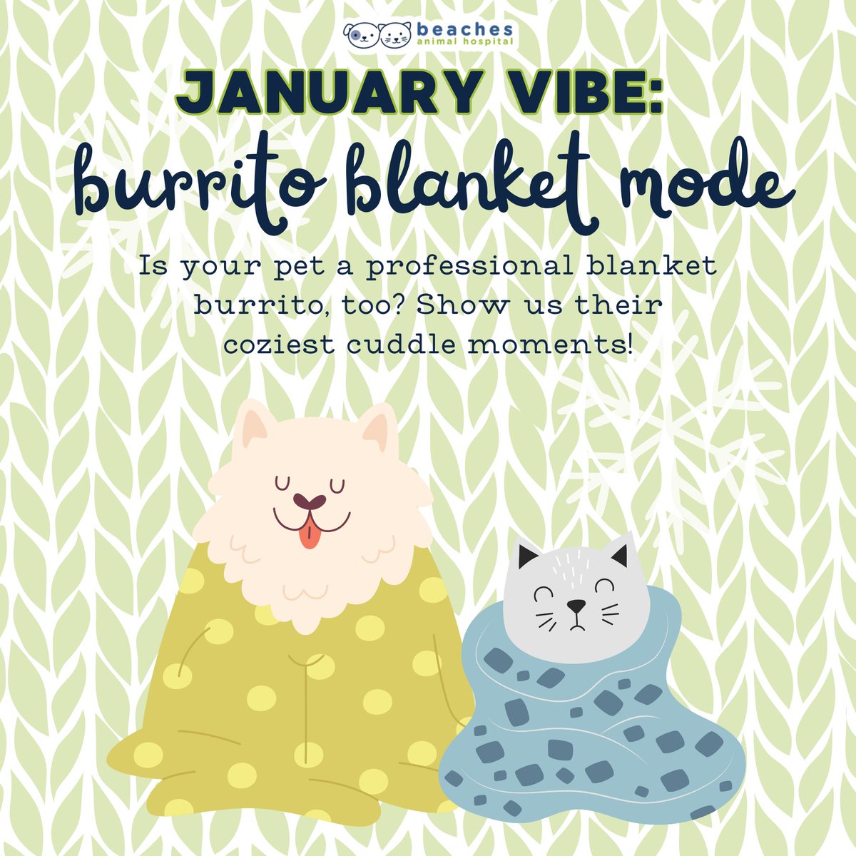 Calling all cozy pets! 🐾 Is your furry friend a professional blanket burrito, or do they have their own unique cuddle style? 🛏️💤 Share their snuggliest moments with us in the comments!

#love #instagood #cute #pet #petstagram #photooftheday #instamood #adorable #instapet