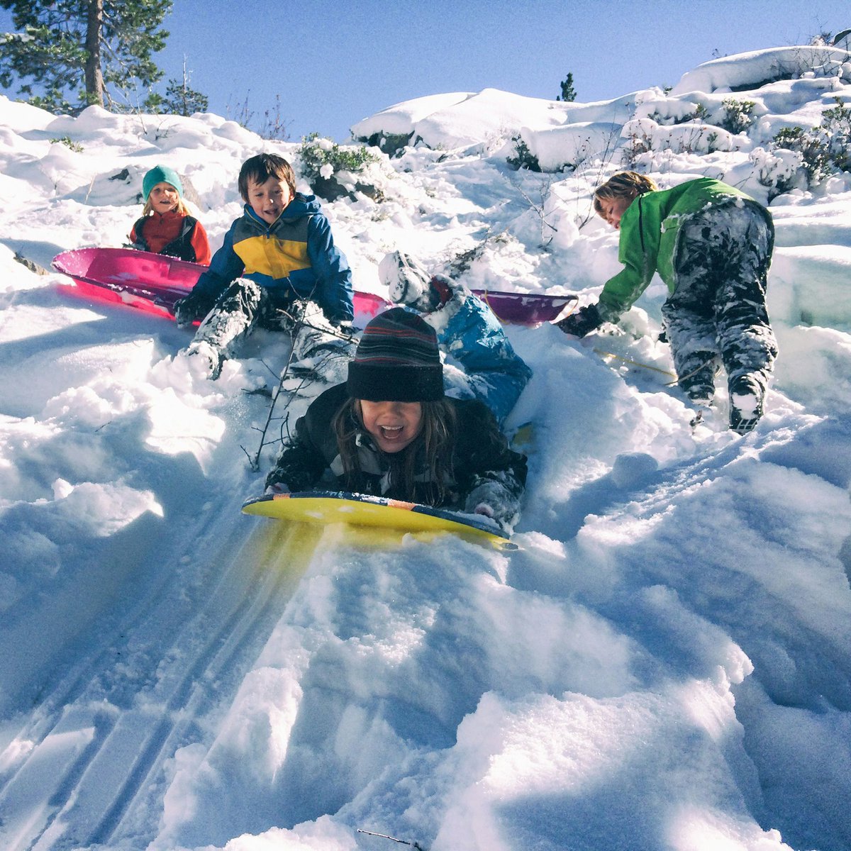 Apple Valley Visitor Information tweet media