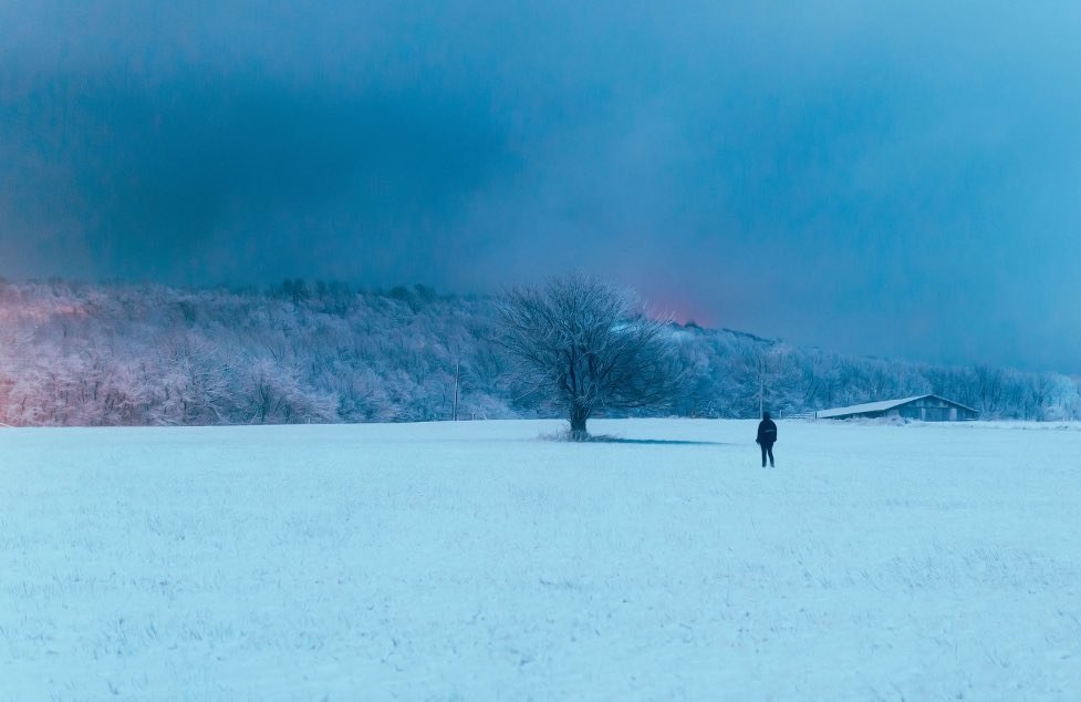 this image i took makes me feel something