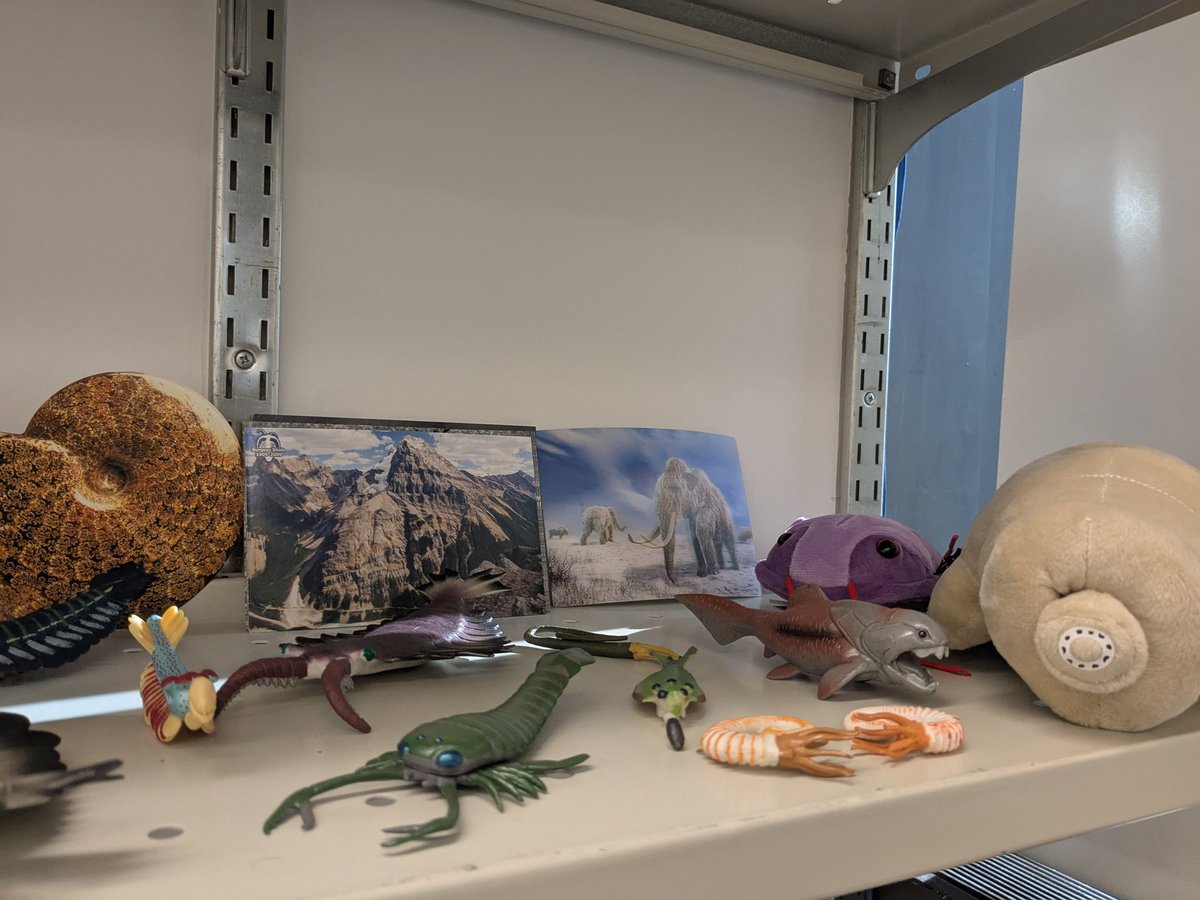 CambroJoe's tweet photo. The office collection of #fossil invertebrate toys is taking over, but I'm ok with that...
#FossilFriday #Anomalocaris #Cambroraster #cephalopod #seascorpion #trilobite https://t.co/eMj8hGgsll