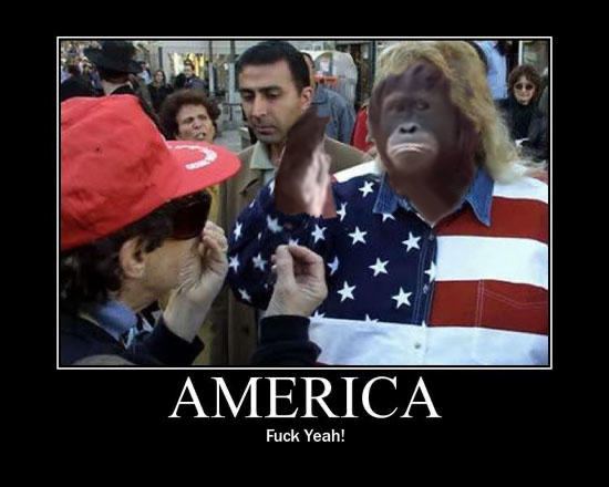 gib on Base tweet media