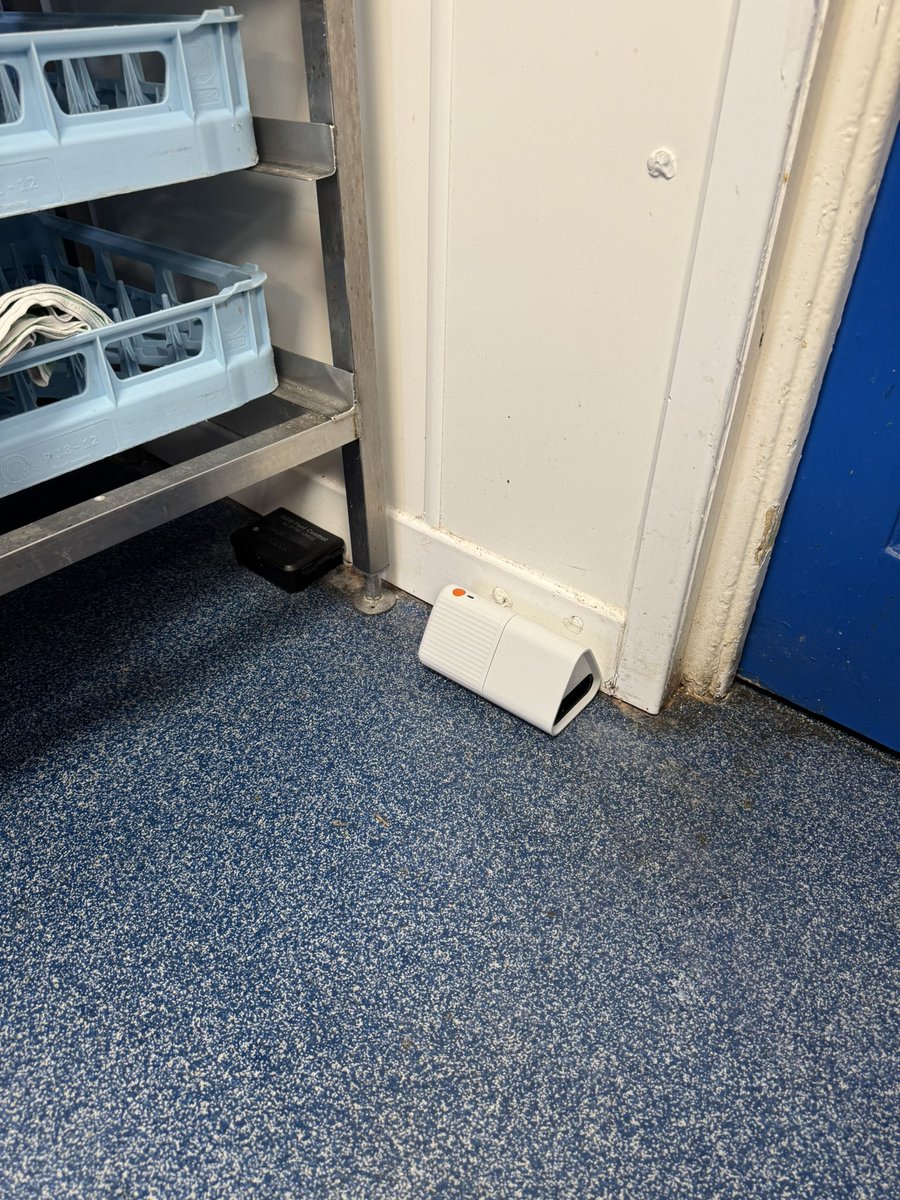Trying out new technology, Non Toxic route for mice in a Primary School kitchen. <a href="/TheNPTA/">NPTA UK</a>